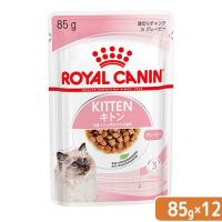 ロイヤルカナン　子猫　キトン　グレービー　成長後期の子猫用　８５ｇ　１２袋　９００３５７９３０８９４３　お一人様５点限り | チャーム charm ヤフー店