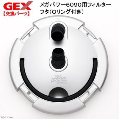 チャーム charm ヤフー店 - ジェックス(GEX)｜Yahoo!ショッピング