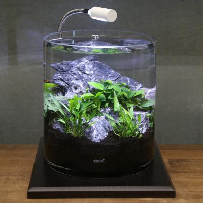 アクアリウム水槽 アクロ ガラス水槽 アクロ60 スーパークリア 60×30