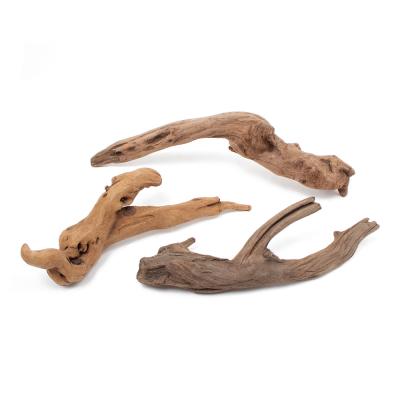 アク抜き済み 流木（水槽用流木）｜レイアウト用品｜熱帯魚