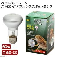 ペットペットゾーン　バスキングスポットランプ　ストロング　６０Ｗ　爬虫類　ライト　バスキングライト | チャーム charm ヤフー店