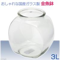 アウトレット品　おしゃれな国産ガラス製　金魚鉢　３Ｌ　訳あり　関東当日便 :332254:チャーム charm ヤフー店 - 通販 - Yahoo!ショッピング