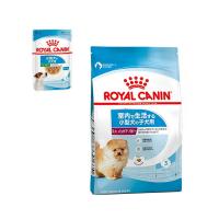 ロイヤルカナン　ミニ　インドア　パピー　子犬用　８００ｇ　＋　パウチ　１袋　おまけ付　お一人様１点限り | チャーム charm ヤフー店