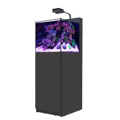 「新品レッドシー45キューブ水槽その他おまけ付き」 水槽 45cm（レッドシー）のおすすめ人気商品一覧 通販 - Yahoo