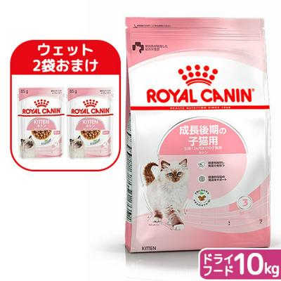 ロイヤルカナン キトン 10kgの商品一覧 通販 - Yahoo!ショッピング