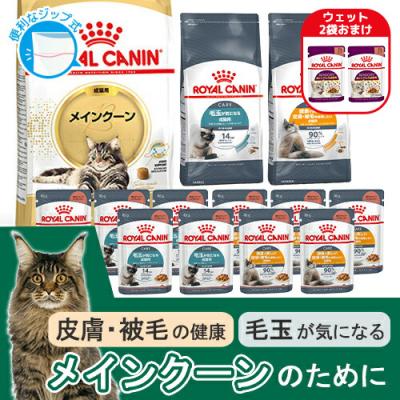 ロイヤルカナン（ROYAL CANIN） 【ウェット2袋おまけ付】ロイヤル
