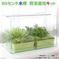 チャーム charm ヤフー店 - ６０センチ水槽　野菜栽培キット　家庭菜園　お一人様１点限り　沖縄別途送料　関東当日便｜Yahoo!ショッピング