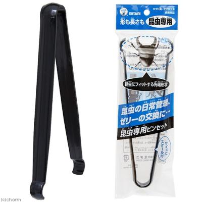 昆虫標本セットの商品一覧 通販 - Yahoo!ショッピング 昆虫標本セットの商品一覧 通販 - Yahoo!ショッピング