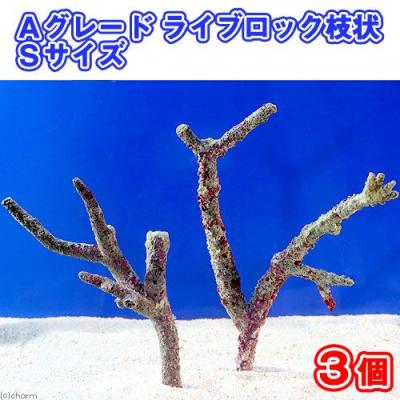 ライブロックのおすすめ人気商品一覧 通販 - Yahoo!ショッピング