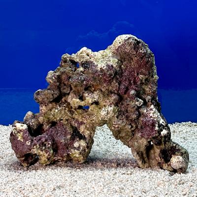 送料無料】人工ライブロックPHR16／14穴加工アク抜き済み安心塗料使用