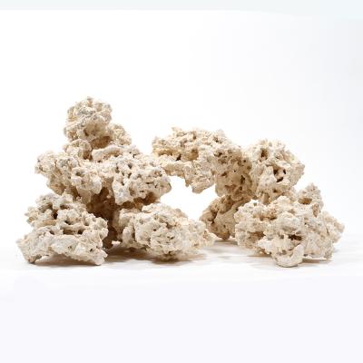 サンゴ石（熱帯魚、アクアリウム用品） | ペット用品、生き物 の商品