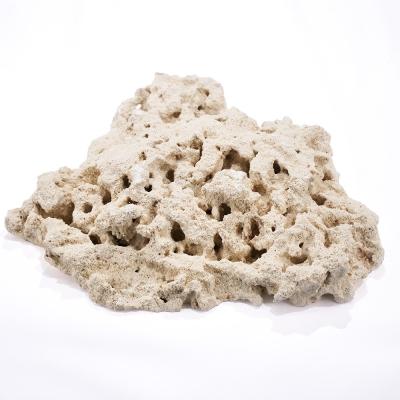 サンゴ石（熱帯魚、アクアリウム用品） | ペット用品、生き物 の商品