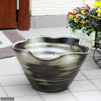 ビオトープ 石（植木鉢、プランター）｜園芸用品 | 花、ガーデニング