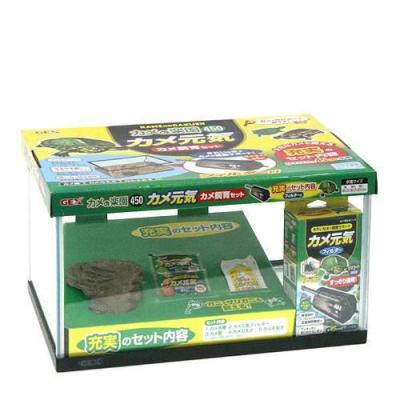 カメレオン 飼育セット（爬虫類、両生類用品） | ペット用品、生き物