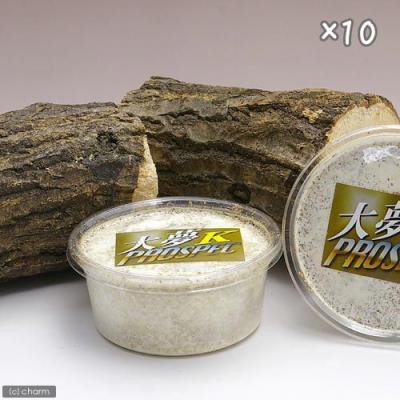 大夢k菌糸ビンのおすすめ人気商品一覧 通販 - Yahoo!ショッピング