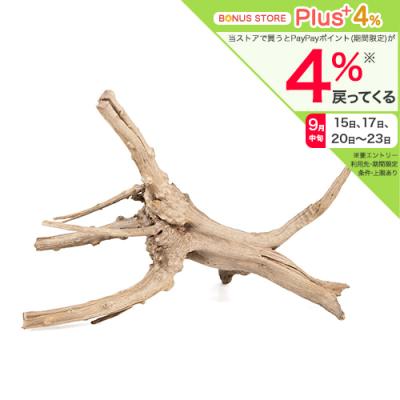 水槽用流木｜レイアウト用品｜熱帯魚、アクアリウム用品｜ペット用品