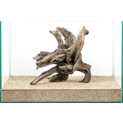 流木 一点物 チャーム（水槽用流木）｜レイアウト用品｜熱帯魚