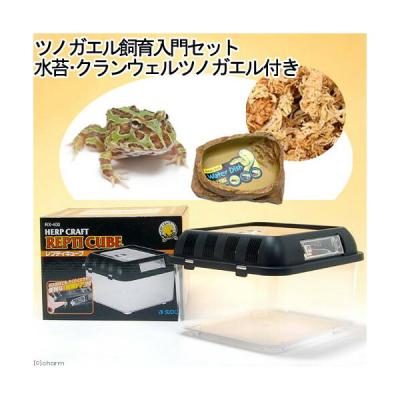 ツノガエル 飼育セットのおすすめ人気商品一覧 通販 - Yahoo!ショッピング