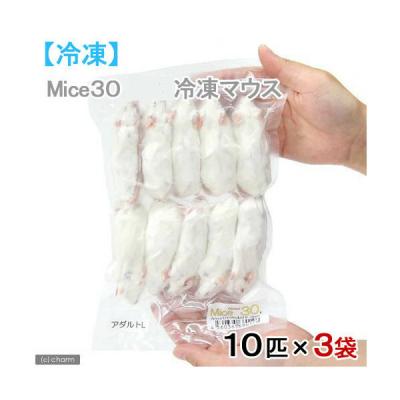 ★キャッツ★国産 冷凍マウス リクエスト品 charm 第2ヤフー店 - 冷凍餌｜Yahoo!ショッピング