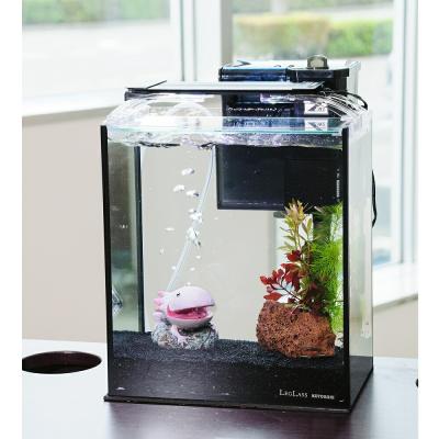 水槽、その他セット　ウーパールーパー付き1匹 ウーパールーパー 飼育セットの商品一覧 通販 - Yahoo!ショッピング