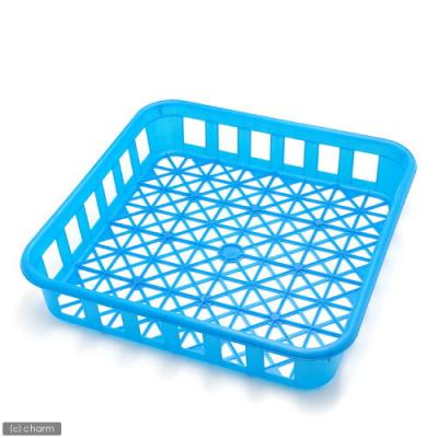 菌糸ボトルコンテナ（昆虫用品） | ペット用品、生き物 の商品一覧
