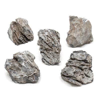 青龍石（レイアウト用品（水槽、アクアリウム用品））｜熱帯魚