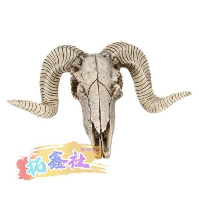羊 頭蓋骨のおすすめ人気商品一覧 通販 - Yahoo!ショッピング