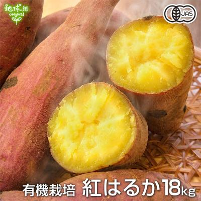 紅はるか 苗のおすすめ人気ランキングTOP100 - Yahoo!ショッピング