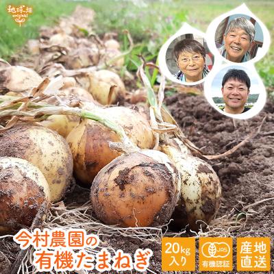 玉ねぎ 20kg（食品）のおすすめ人気商品一覧 通販 - Yahoo!ショッピング