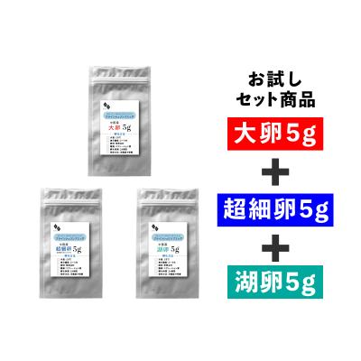 中国産ブラインシュリンプの商品一覧 通販 - Yahoo!ショッピング 中国産ブラインシュリンプの商品一覧 通販 - Yahoo!ショッピング
