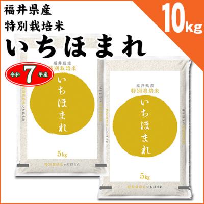 無洗米 10kg（食品）（お米の品種：いちほまれ）のおすすめ人気商品