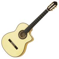 ARIA アリア A-175F-CWE エレクトリッククラシックギター ライトフォームケース付き | chuya-online チューヤオンライン