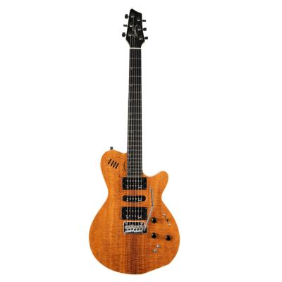 godin ギター（エレキギター、セミアコ、フルアコ本体）｜ギター｜楽器