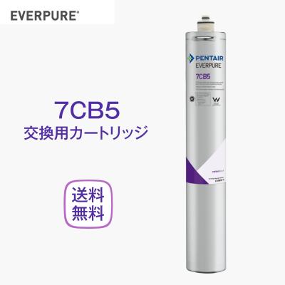 ✡️在庫限りエバーピュア業務用2DH高性能浄水器 新品フィルター6本まとめセット 楽天市場】新規設置仕様エバーピュア高性能浄水器FCシリーズ