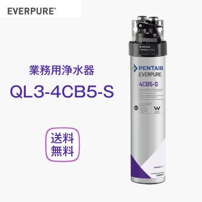 ✡️エバーピュア4DH高性能浄水器 新品フィルター6本 imgrc0080077776.jpg