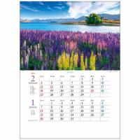 2024 Calendar 水の美景 2ヶ月ミシン目入り 壁掛けカレンダー2024年 フォト | キャラクターのシネマコレクション