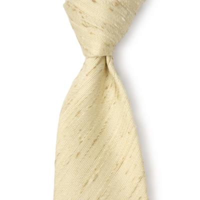 ガブリエレパジーニ gabriele pasini（メンズネクタイ