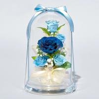 プリザーブドフラワー 送料無料 お祝い 誕生日 枯れない花 ドーム入り