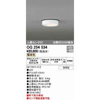 照明器具 天井 シーリング オーデリック 軒下用シーリングライト LED（電球色） センサー付 OG254534 | 照明 おしゃれ 家具 通販 クラセル