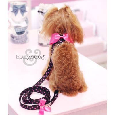 Pet Healing(ペットヒーリング) - bonyndog（ボニエンドッグ）｜Yahoo