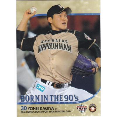 トレカショップ CLEAR FILE - BBM2014 北海道日本ハムファイターズ