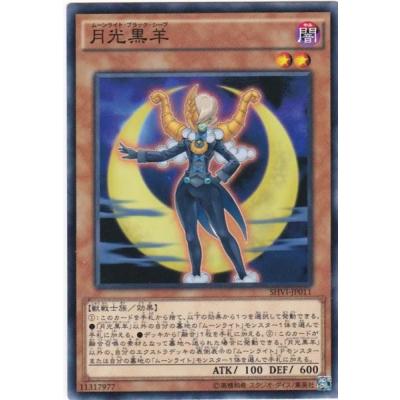 トレカショップ CLEAR FILE - 遊戯王｜Yahoo!ショッピング