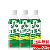 送料無料 1ケース 赤穂化成 熱中対策水 日向夏味 500ml 24本 水分補給 塩分補給 クエン酸 熱中症対策 | クリックル
