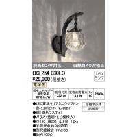OG254872LC オーデリック 玄関灯 ブラウン LED（電球色） ODELIC 