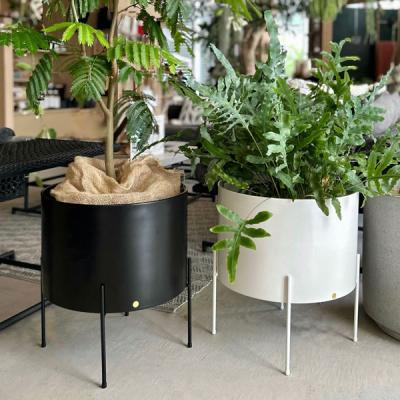 upstairs outdoor living - Hubsch(ヒュプシュ)｜Yahoo!ショッピング