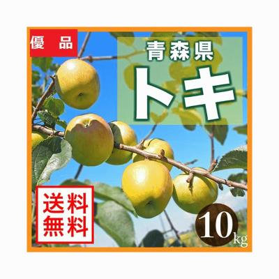 りんご 20kgのおすすめ人気商品一覧 通販 - Yahoo!ショッピング