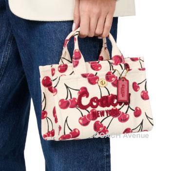 COACH レディースバッグ(柄:果物、フルーツ)の商品一覧 COACH レディースバッグ(柄:果物、フルーツ)の商品一覧