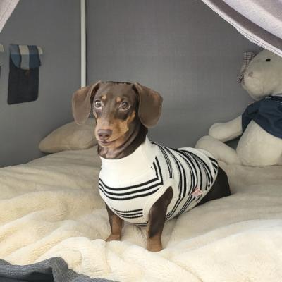 ダックスフンド服のおすすめ人気商品一覧 通販 - Yahoo!ショッピング