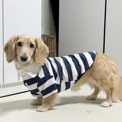 ダックスフンド服の商品一覧 通販 - Yahoo!ショッピング