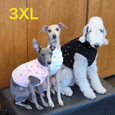 ウィペット服のおすすめ人気商品一覧 通販 - Yahoo!ショッピング